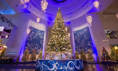 Museum of Science and industry Christmas Tree