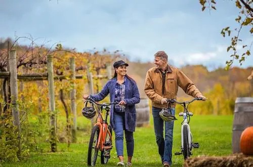 Two people walking their bikes through a vineyard