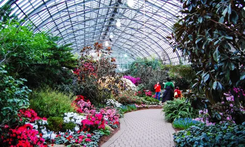 Indoor park full of flowers and greenery.